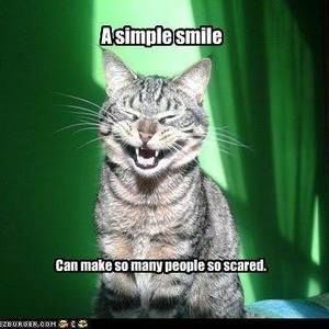 Meet your Posher, Nosa